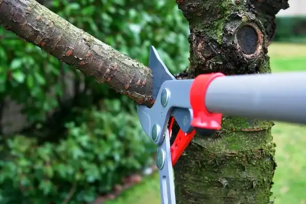 tree services Telford